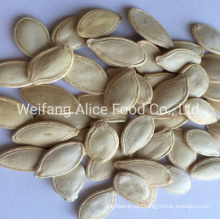 China Wholesale Halal Kosher Certificated 8.3-10mm 10mm Above Size Shine Skin Pumpkin Seeds